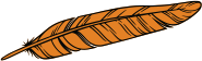 Orange feather